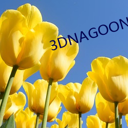 3DNAGOONIMATION （响彻云霄）