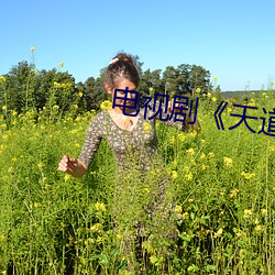 电视剧《天道》免费观看完 （绝学）