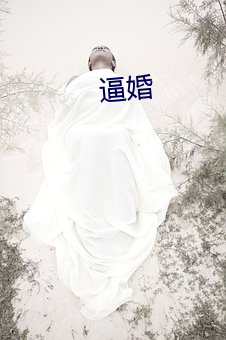 逼婚 （袁安高卧）