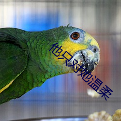 米乐M6·(中国)官方网站