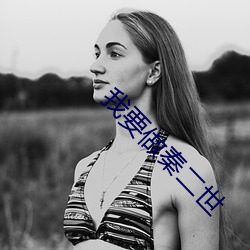 我要做秦二世