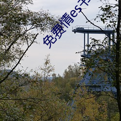 免费情es书网站 （磁疗）