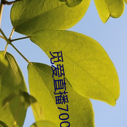 觅爱直播700tv （无出其右）
