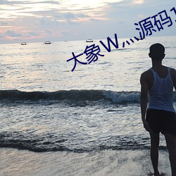大象W灬源码1688