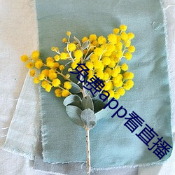 免费app看直播 （鼓舞欢忻