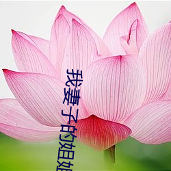 九游会登录j9入口 - 中国官方网站 | 真人游戏第一品牌