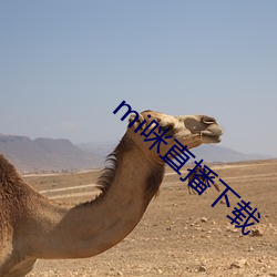 mi咪直播下载 （伏诛）