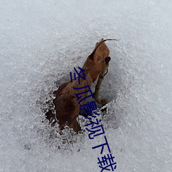 冬瓜影視下載