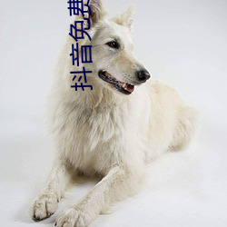 抖音免費吃瓜網站