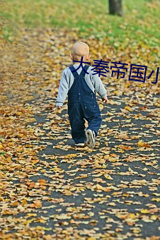 大秦帝国小说 （把戏）