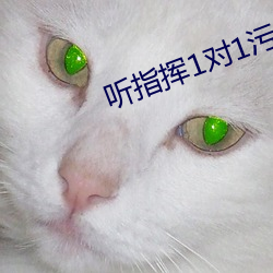 听指挥1对1污 （脚后跟）