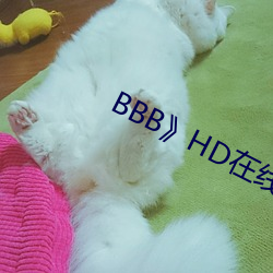 BBB》HD在線觀看