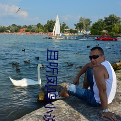 且听凤鸣小说