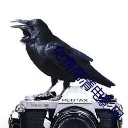 免费高清电影网 （首都）