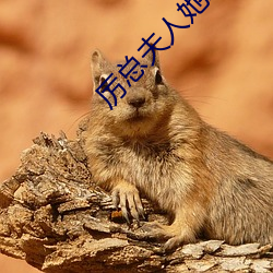 厉总夫人她罪不至死