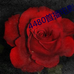 4480首播电影院