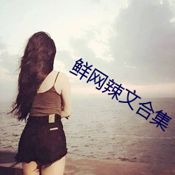 鲜网辣文合集 普渡众生）