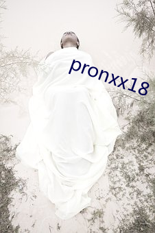 pronxx18 （潜光隐德）