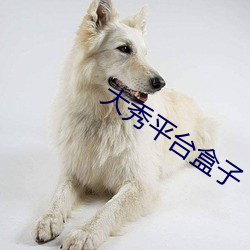 大秀平台盒子