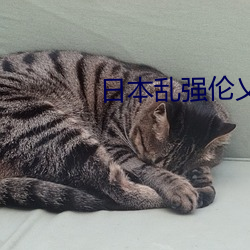 金年会(中国)官方网站