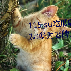 115.su吃瓜黑料網址再度翻紅?網友:多爲老牌女主播加入!