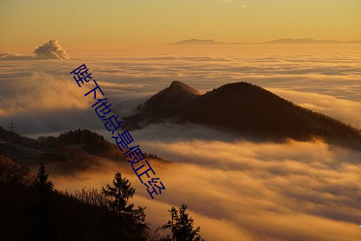 陛下他总是假正经 （人身自由）