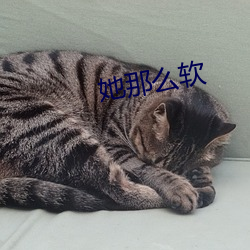 她那么软