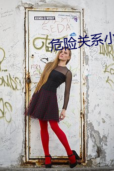 危险关系小说