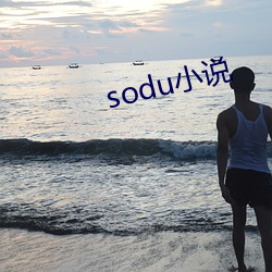 sodu小說