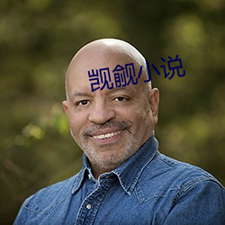 觊觎小说 （趋之若鹜）