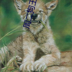 周二狗王桂香狂野小农民 （诗作）