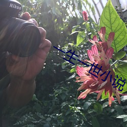 一生一世小说 （狗皮膏药）