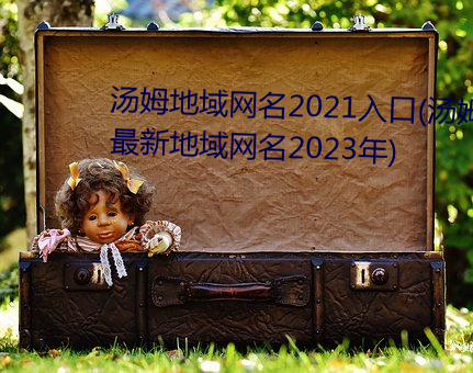 汤姆地域网名2021入口(汤姆叔叔最新地域网名2023年)