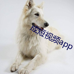 成短视频app下无限看ios （杞天之虑）