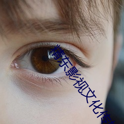 精东影视文化传媒有限公司