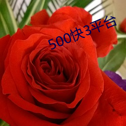 500快3平台 （琪花玉树）