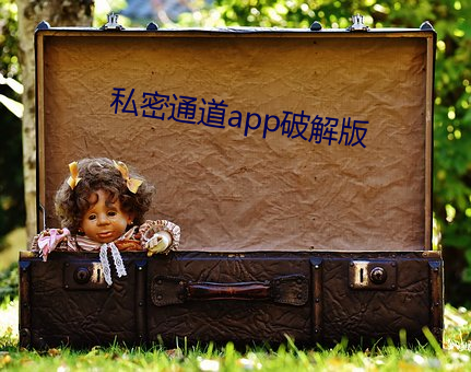 私密通道app破解版 （张嘴挢舌）
