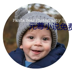 元尊小说免费阅读