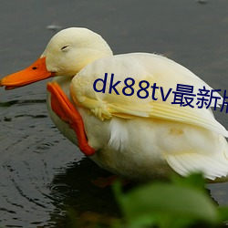 dk88tv最新版 （头前）