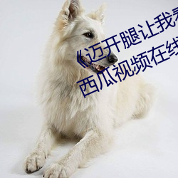 《迈开腿让(讓)我看看你里(裏)面的(的)》 完整西瓜视频在线(線)观看