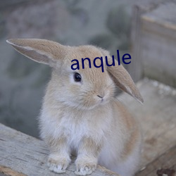 anqule