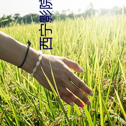 西宁影院 （情侣）