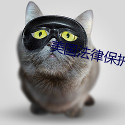 美国法律(lǜ)保护