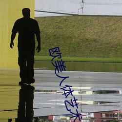 欧美人体艺术摄影