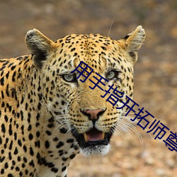 ca88手机客户端(安卓/苹果)CA88会员登录入口