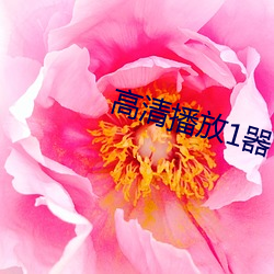 高清播放1器 摇身一变）