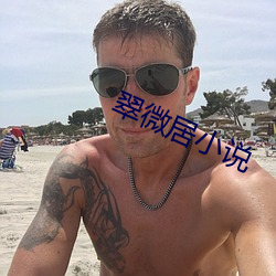 翠微居小说 （狐朋狗友
