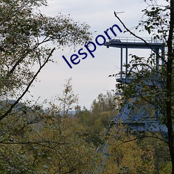 lesporn