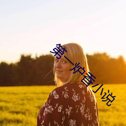 第一(yī)炉香小说