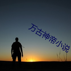 万古(gǔ)神帝小说